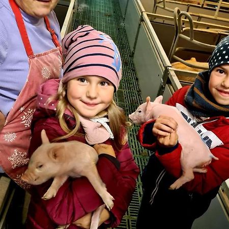 Ferienwohnung Scherr Neunburg vorm Wald Zewnętrze zdjęcie