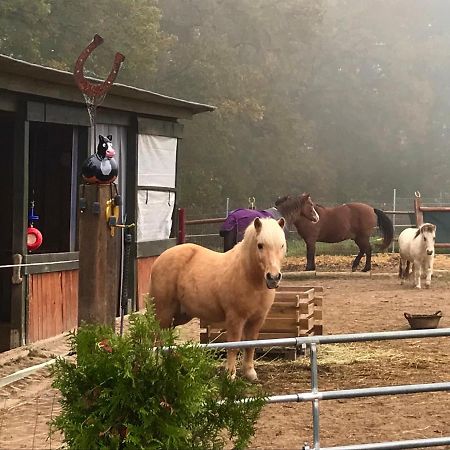 Ferienwohnung Scherr Neunburg vorm Wald Zewnętrze zdjęcie