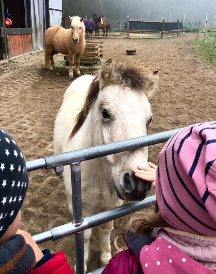 Ferienwohnung Scherr Neunburg vorm Wald Zewnętrze zdjęcie
