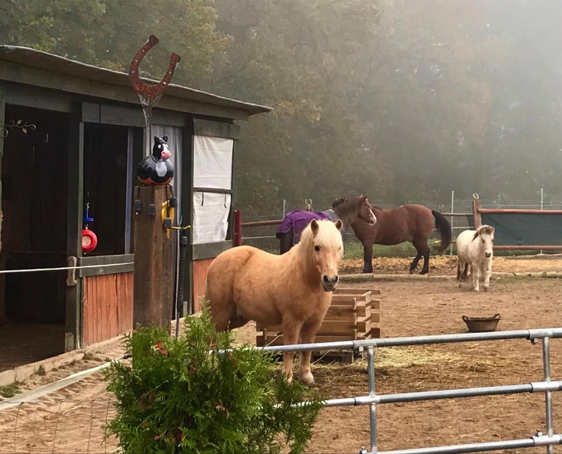 Ferienwohnung Scherr Neunburg vorm Wald Zewnętrze zdjęcie